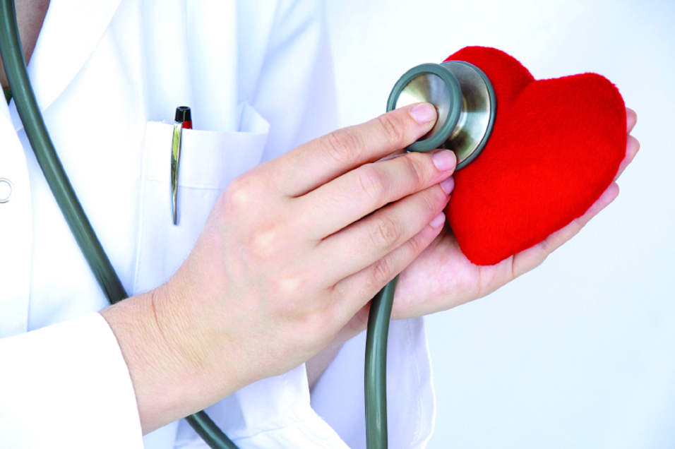 Yến sào giúp phòng ngừa và điều trị bệnh tim mạch như thế nào?